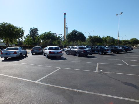 Sedans parked in a lot with an amusement park drop tower and coaster behind trees