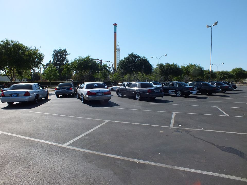 Sedans parked in a lot with an amusement park drop tower and coaster behind trees