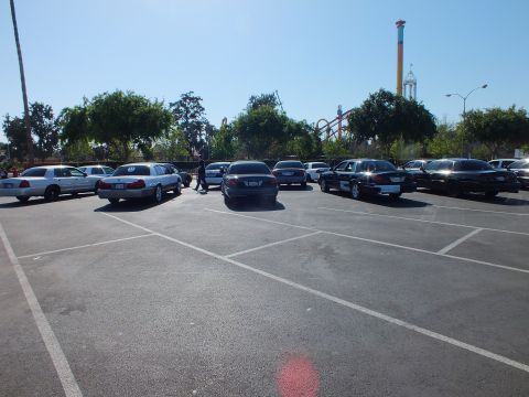 Dark sedans parked in a wide lot with amusement park rides visible over the trees