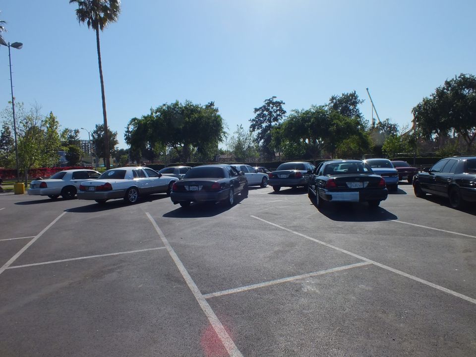 White and dark sedans parked across a large asphalt lot under blue sky