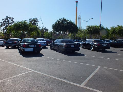 Black full-size sedans parked rear-facing with an amusement park tower behind trees