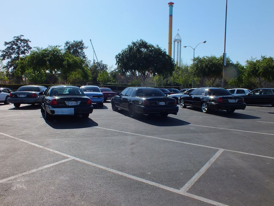 Black full-size sedans parked rear-facing with an amusement park tower behind trees