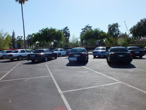 Black and silver sedans parked rear-facing across a sunny asphalt lot