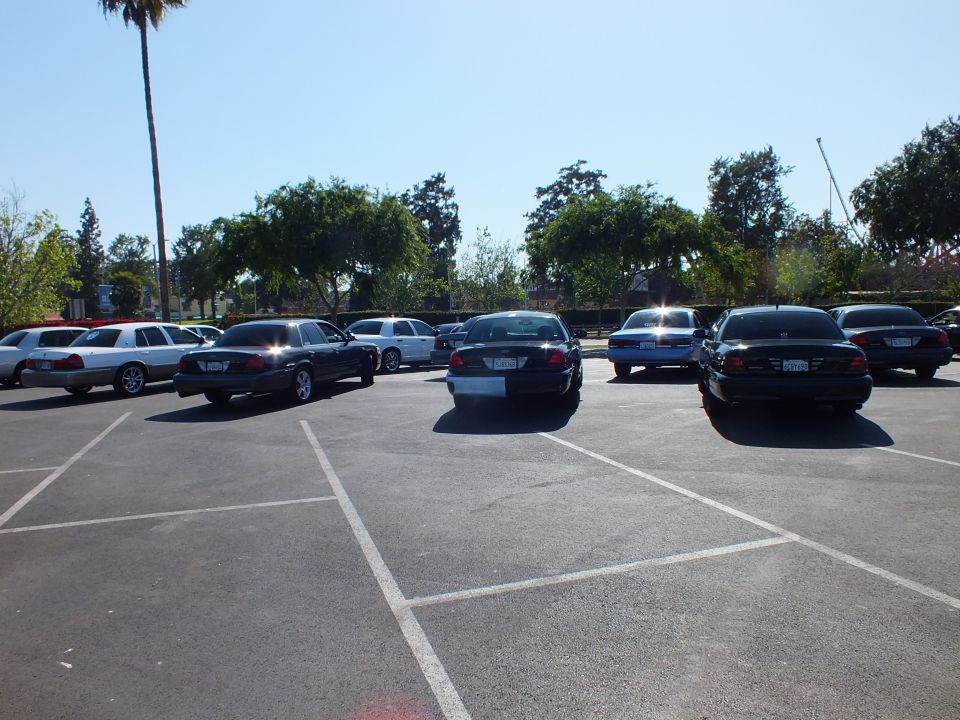 Black and silver sedans parked rear-facing across a sunny asphalt lot