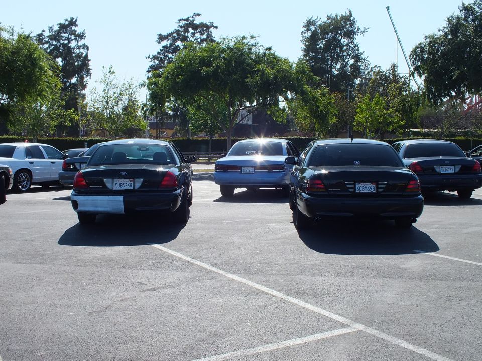 Black Ford sedan and dark sedan parked rear-facing in a tree-lined lot
