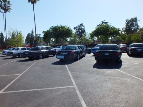 Dark and silver sedans angled in a lot with amusement park structures behind trees