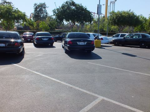 Dark sedans parked rear-facing with a roller coaster visible behind the trees