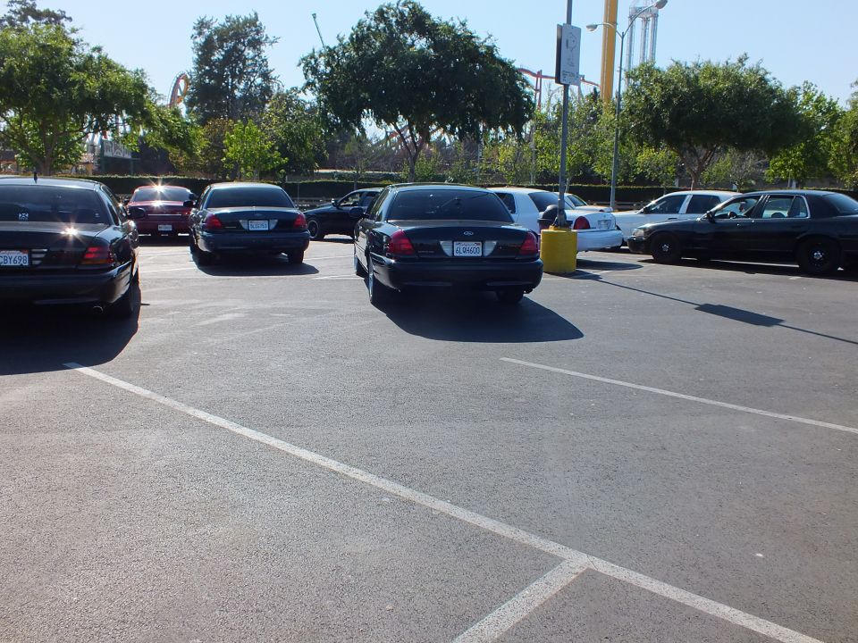 Dark sedans parked rear-facing with a roller coaster visible behind the trees