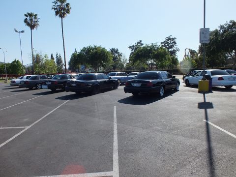 Black sedans parked among palm trees with amusement park coaster in the distance