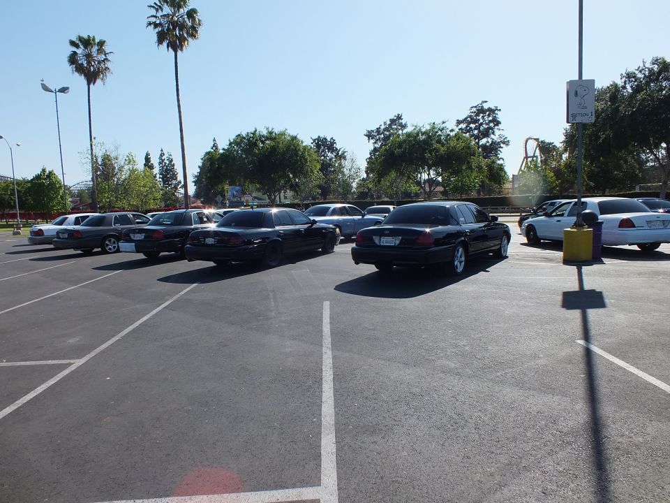 Black sedans parked among palm trees with amusement park coaster in the distance