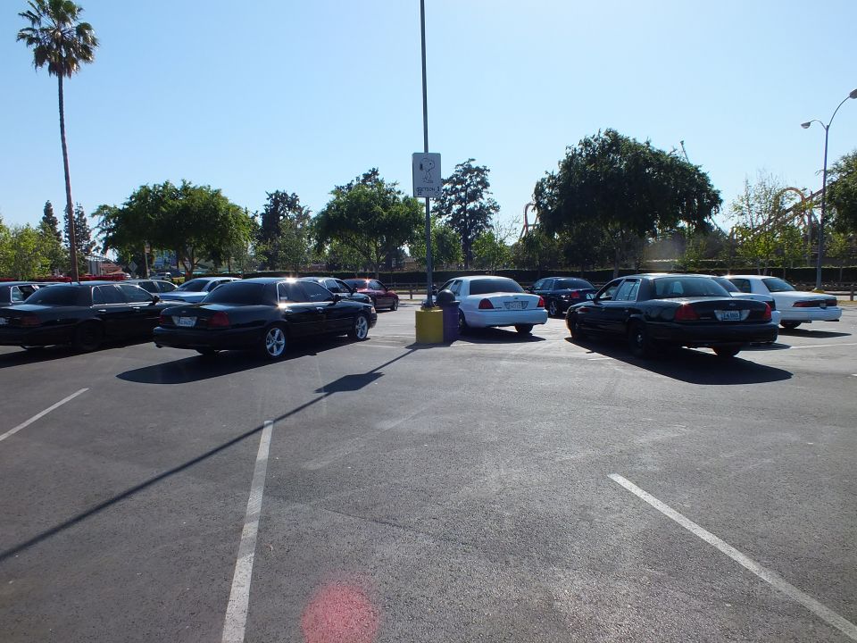 Dark and white sedans parked across a wide asphalt lot lined with palm trees