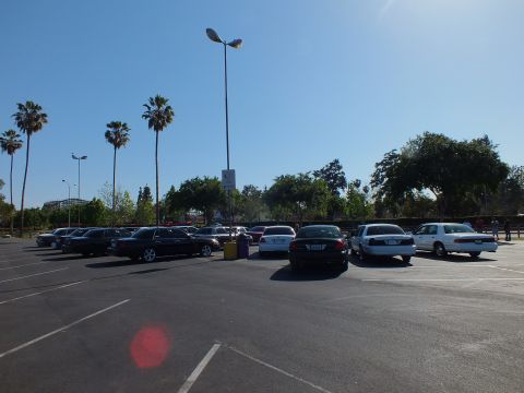 Row of parked sedans with tall palm trees and a light pole under bright sun