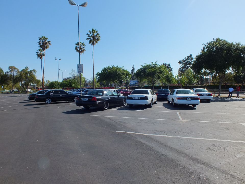 Dark and white sedans parked rear-facing across a lot with palm trees behind