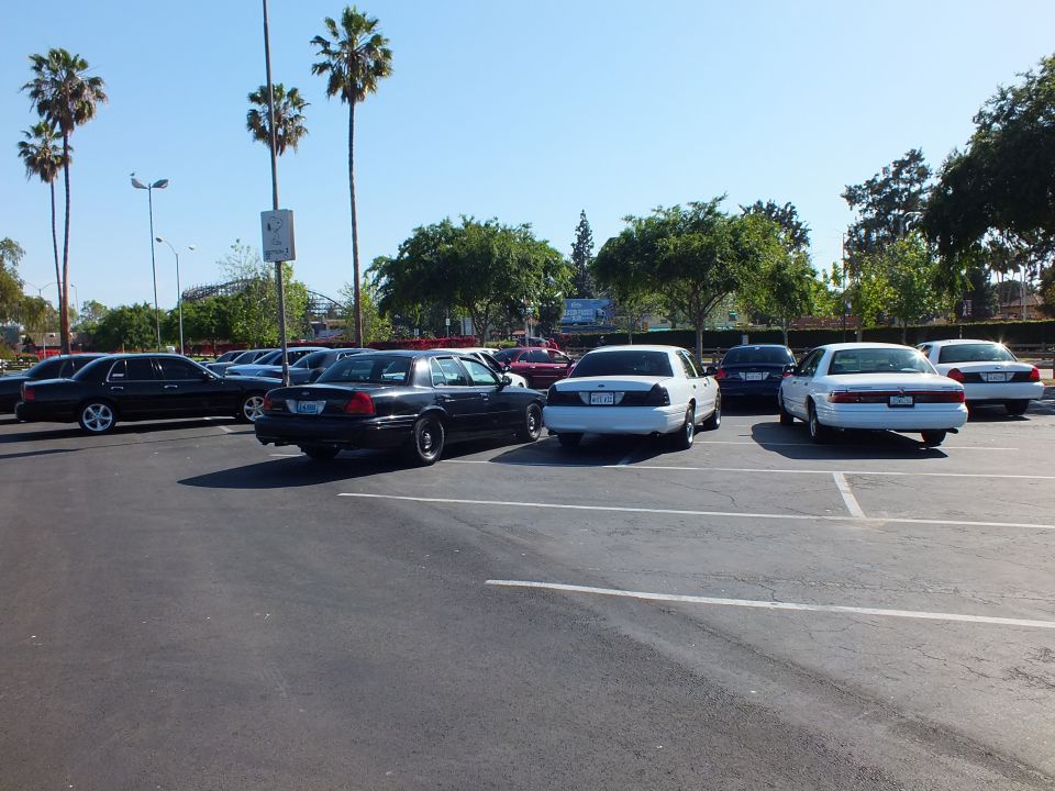 Black and white sedans parked in a lot with amusement park rides over the trees