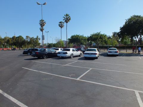Full-size sedans parked across an open paved lot under a clear blue sky with palm trees