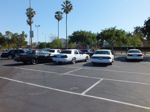 Black and white full-size sedans parked side by side in a sunlit asphalt lot