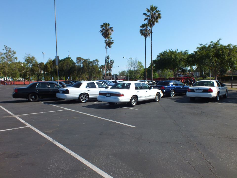Black and white sedans angled in a paved parking lot with palm trees behind