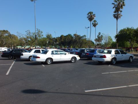 White full-size sedans parked in an open asphalt lot under bright sky