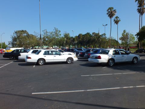 White and black sedans parked across a large open paved lot with trees behind