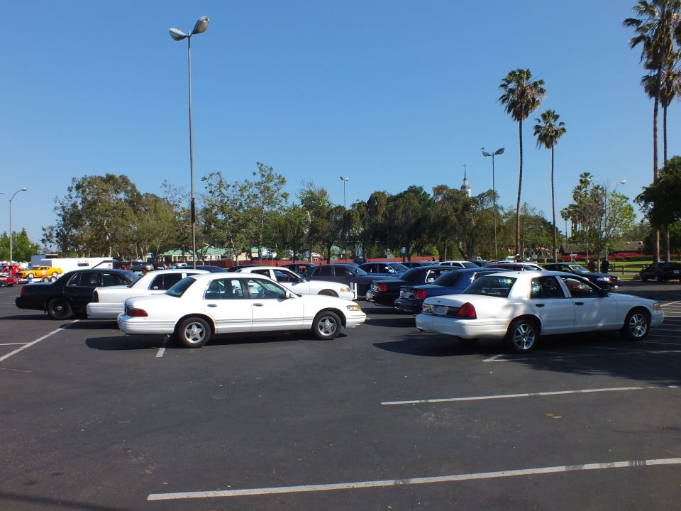 White full-size sedans parked in a sunlit lot with a lamp post and palm trees