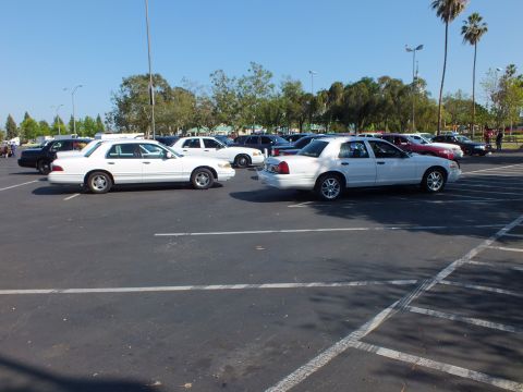 White full-size sedans parked side by side in an open paved lot