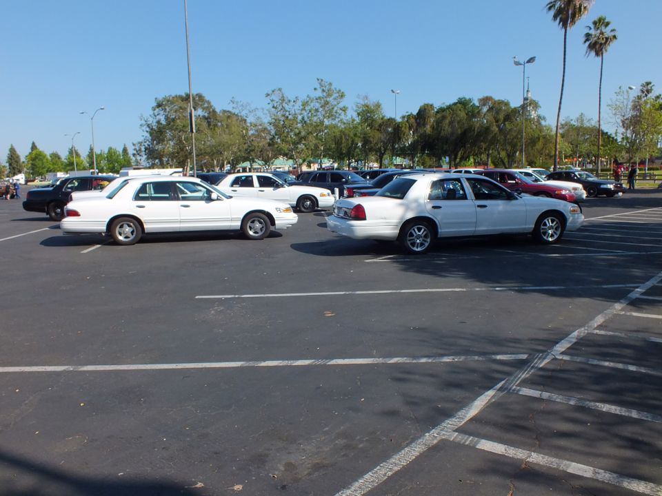 White full-size sedans parked side by side in an open paved lot