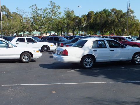 White full-size sedans on chrome wheels parked closely in a tree-lined lot