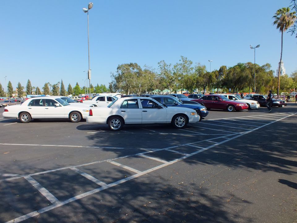 White full-size sedans parked at angles in a sunlit asphalt lot