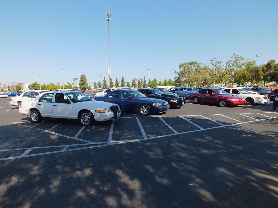 White, blue, and maroon sedans parked in a row in an open paved lot