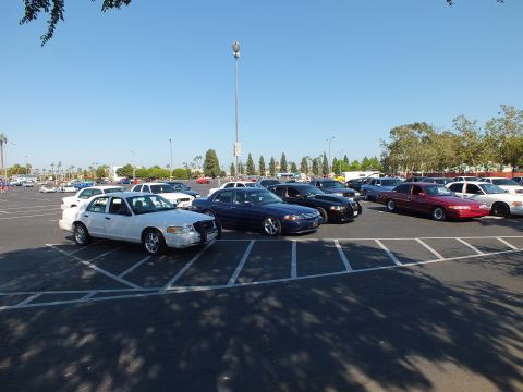 White and dark blue full-size sedans parked in a tree-lined paved lot