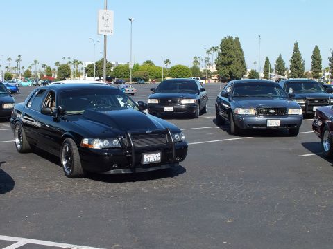 Black sedan with push bar leads a row of full-size sedans in a sunny lot