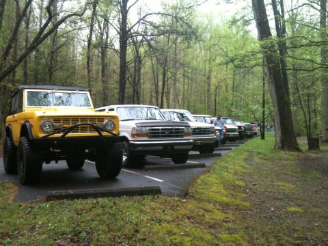 1992 Ford Bronco - A yellow 1970s Ford Bronco leads a line of trucks parked in a wooded area.
