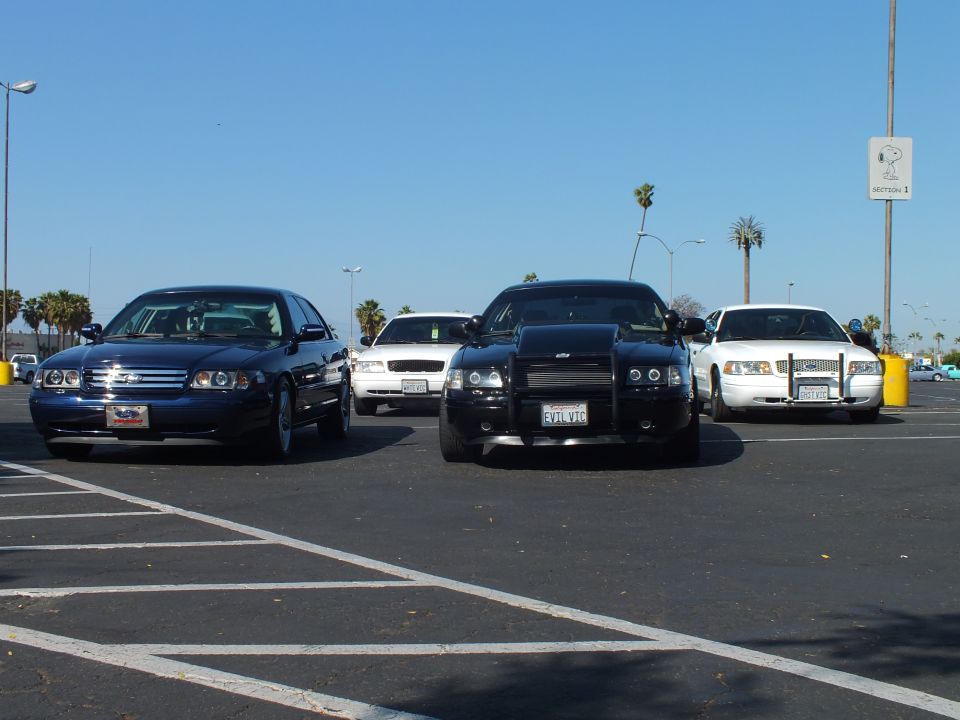 Dark blue sedan, black Dodge Charger and white sedans parked in a lot