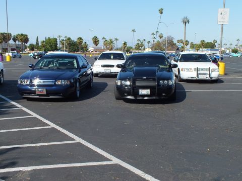 Dark sedan, black Dodge Charger and white sedans in a wide parking lot