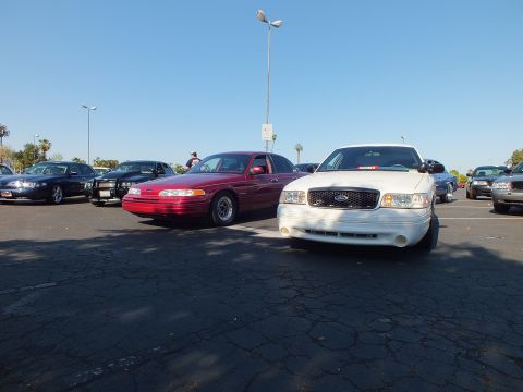 Red Ford Taurus and white Ford Crown Victoria parked among other cars