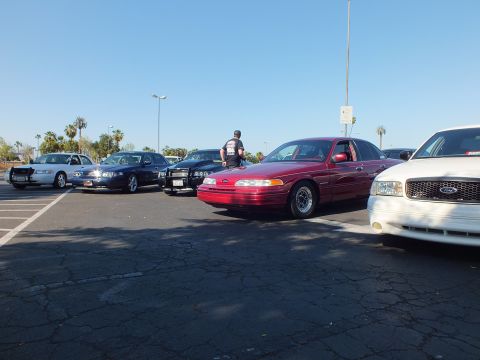Dark red Ford Crown Victoria and white sedan with rows of cars behind