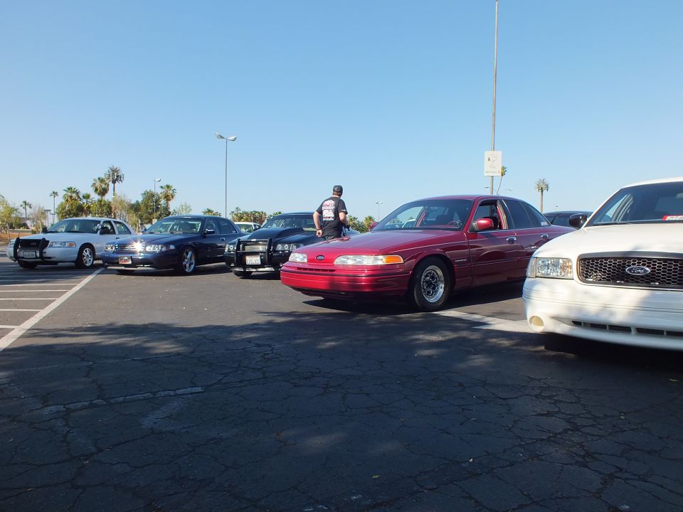 Dark red Ford Crown Victoria and white sedan with rows of cars behind
