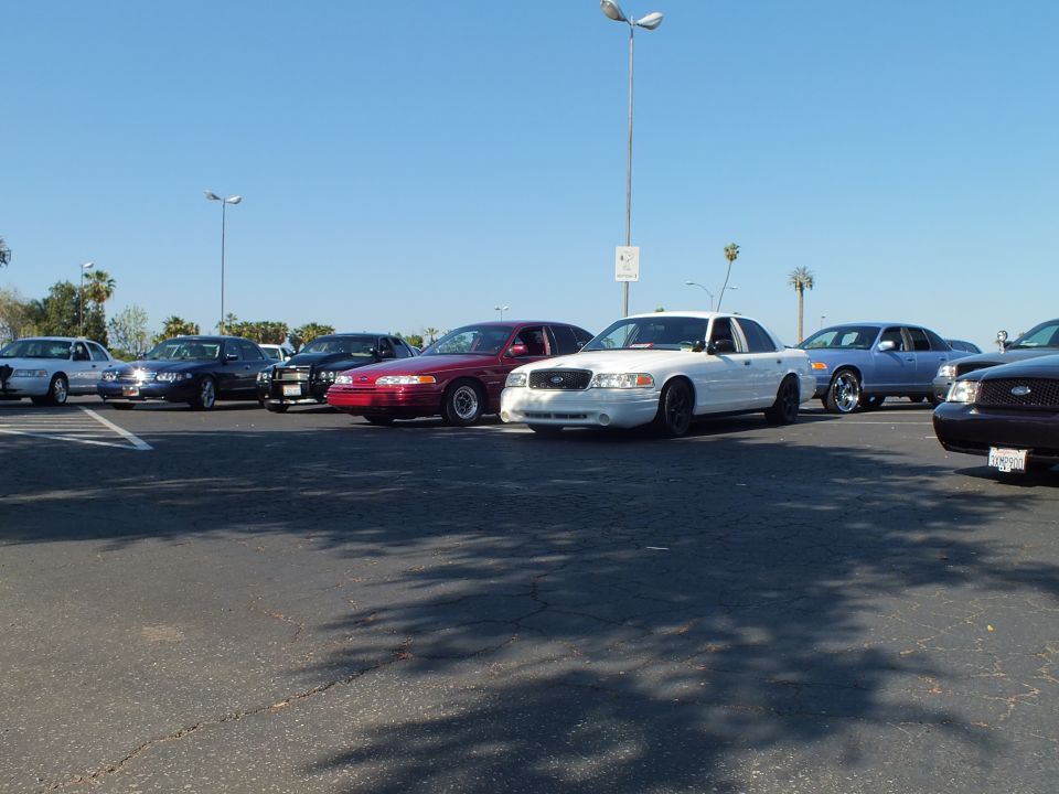 White Ford Crown Victoria nose-out in a row of parked cars in a lot
