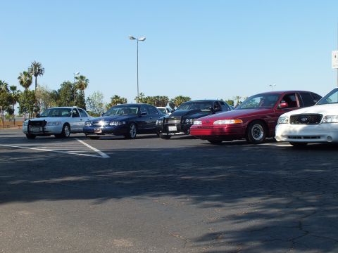 Lineup of sedans including white police-style car and red Ford, low angle