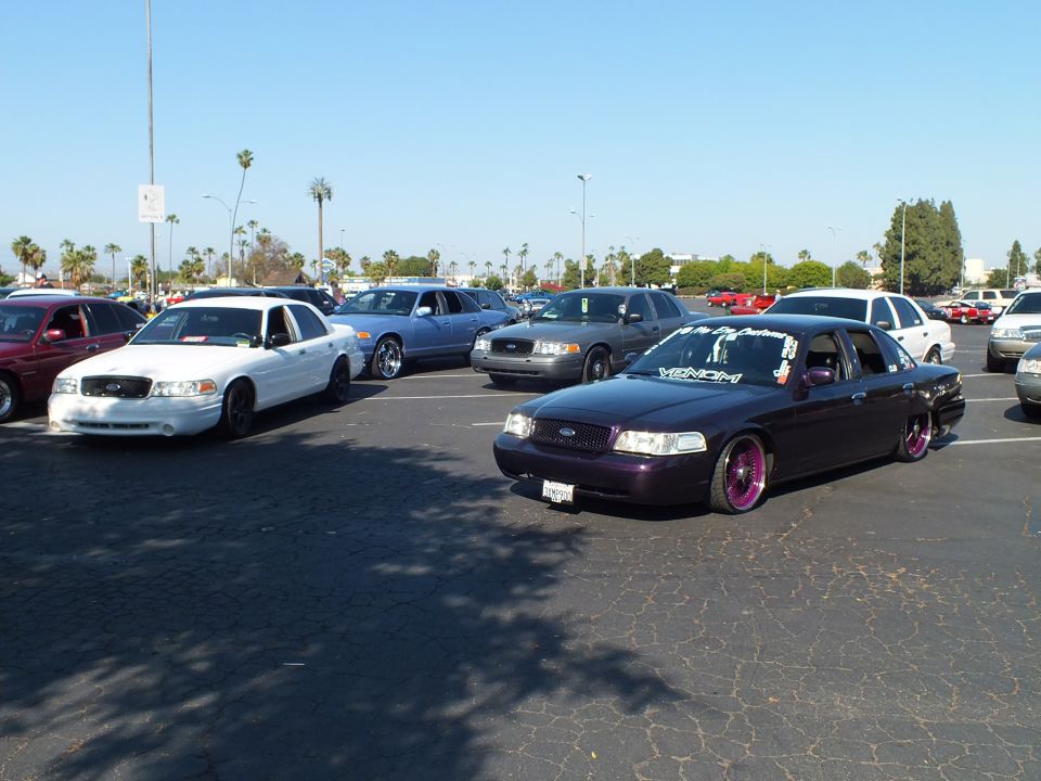 Lowered dark purple Ford Crown Victoria among many cars at a meet