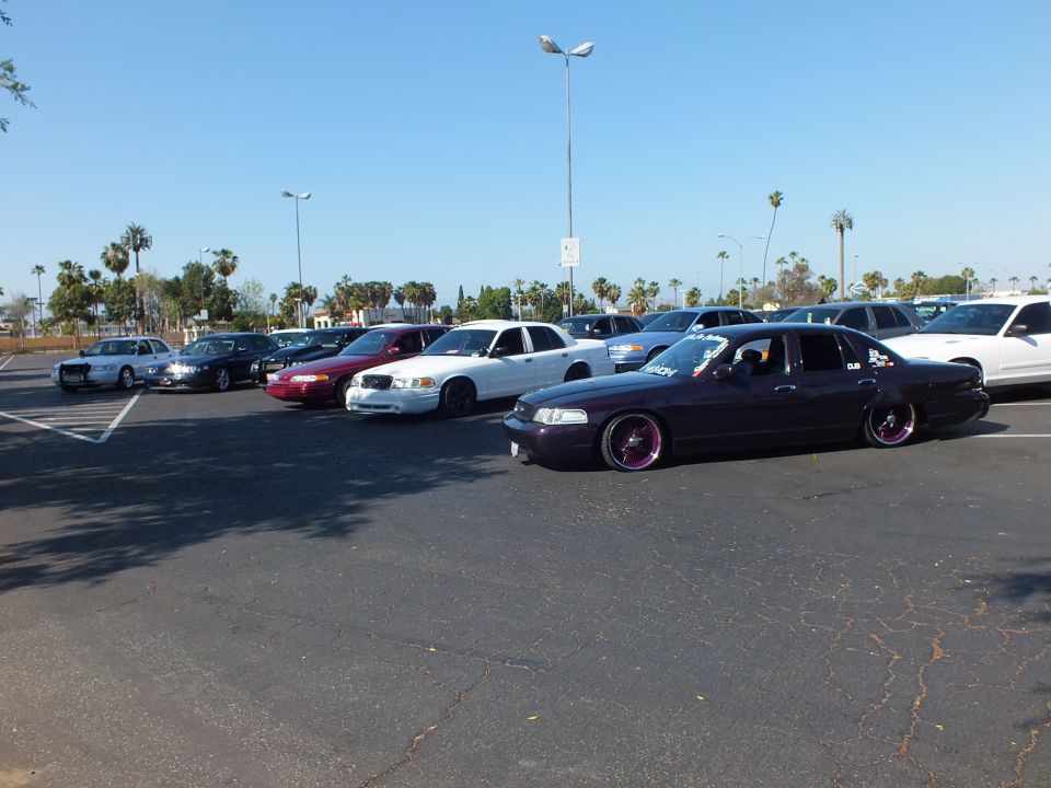 Lowered dark purple Ford sedan parked among a row of sedans in a lot