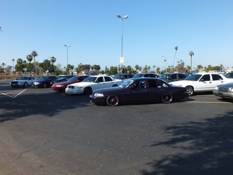 Maroon lowered sedan on pink wheels parked among white sedans