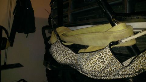 1994 Ford Bronco - A leopard print bra and a yellow tow strap are visible inside a vehicle.