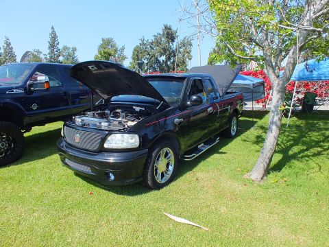 2003 Ford Crown Victoria - lowered black Ford F-150 with its hood raised and a chrome billet grille sits on grass beside other trucks at a show.