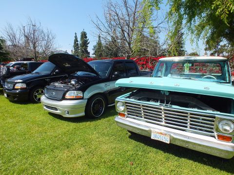2003 Ford Crown Victoria - row of Ford vehicles on grass at a car show: a black SUV, a two-tone black-and-silver pickup, and a teal classic pickup in front.
