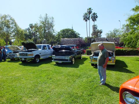 2003 Ford Crown Victoria - Several classic pickups parked side by side with hoods open on a lawn while a man in a green shirt looks on under palm trees.