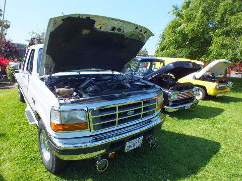2003 Ford Crown Victoria - white Ford pickup with raised hood and chrome dual exhaust tips, with yellow and other classic trucks displayed behind it.