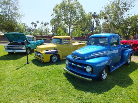 2003 Ford Crown Victoria - Three restored vintage Ford pickups in blue, yellow and teal lined up on a sunny lawn under palm trees at a car show.