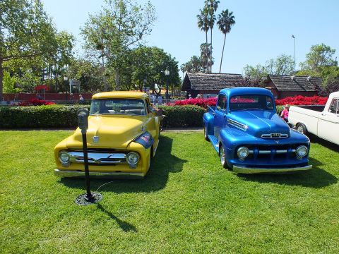 2003 Ford Crown Victoria - yellow vintage Ford pickup beside a blue restored Ford pickup on a manicured lawn with red flowers and palms behind.