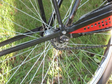 1994 Ford Bronco - Close-up of a bicycle's rear wheel assembly, showing the chain and spokes against a grassy background.